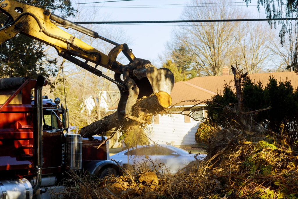 Best Tree Service in Slidell, LA 