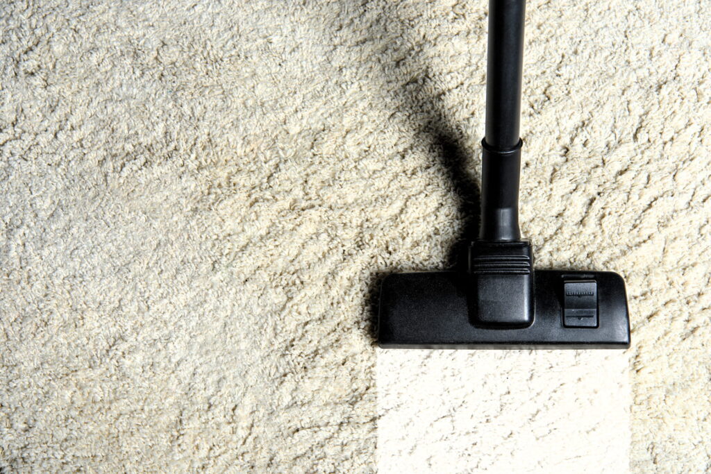 The Premier Carpet Cleaning Service in Gulfport: Clad Carpet Cleaning