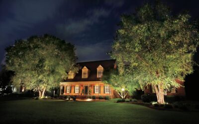 The Premier Landscape Lighting Company in New Orleans: Outdoor Illumination Design