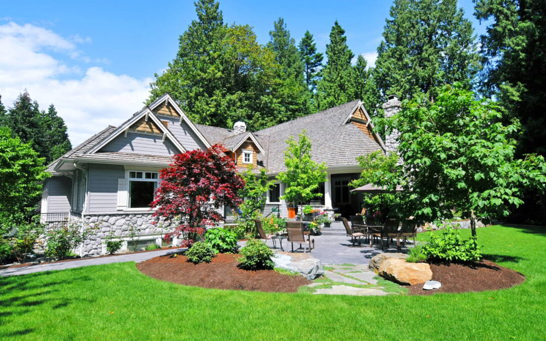 Landscaping in a backyard