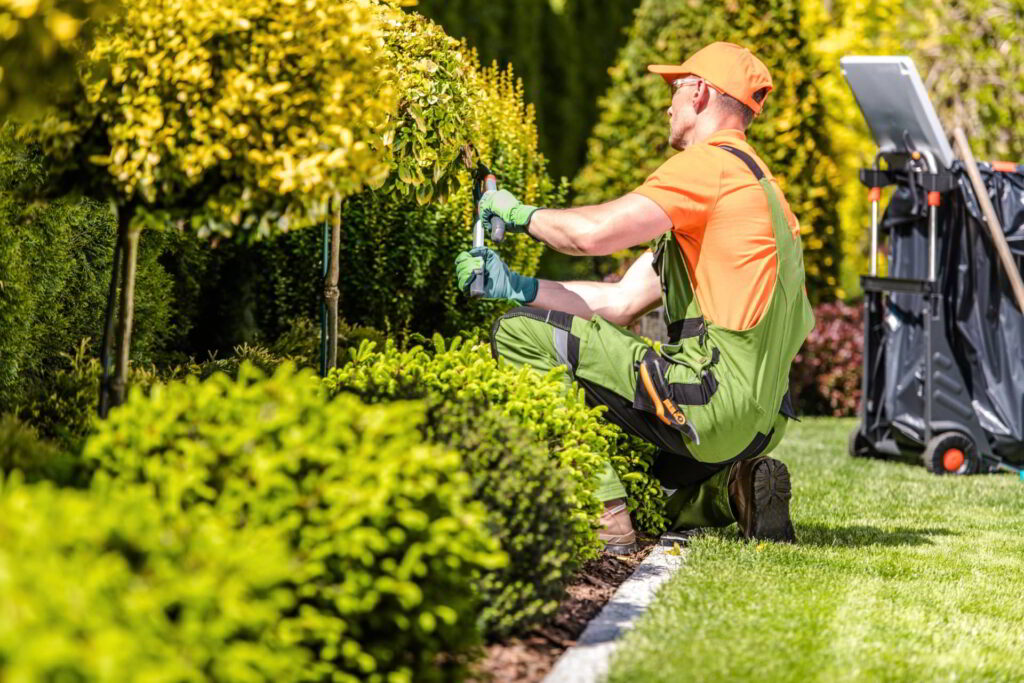 Landscaping Service in Slidell Camellia Creek Landscape