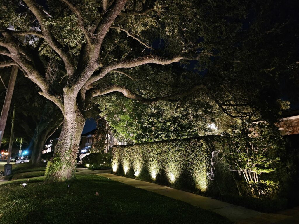 Garden and tree lighting can reveal the textures and shapes of greenery