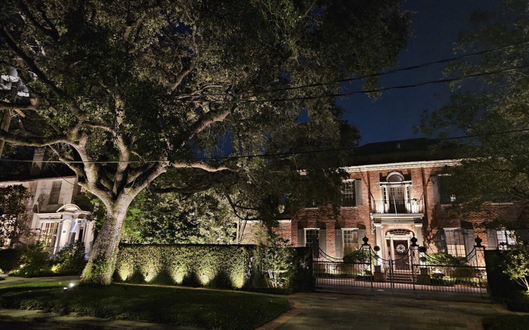 Refined Landscape Lighting Design Services in Metairie: Outdoor Illumination Design