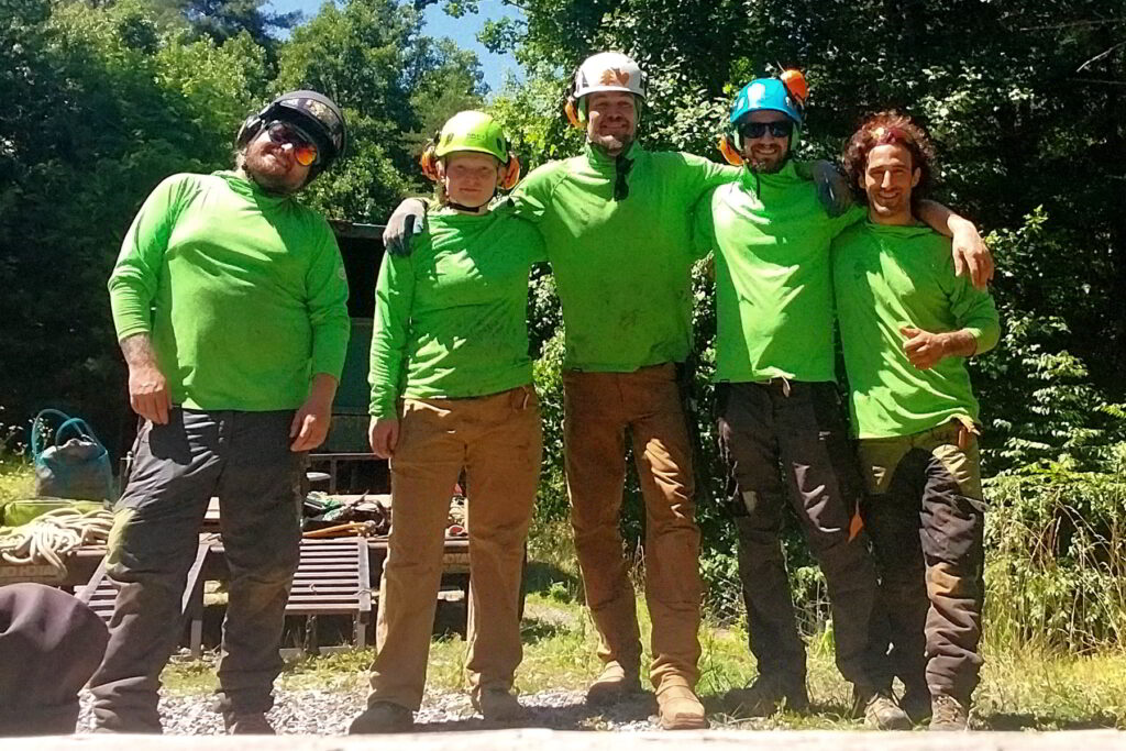 ISA certified arborists