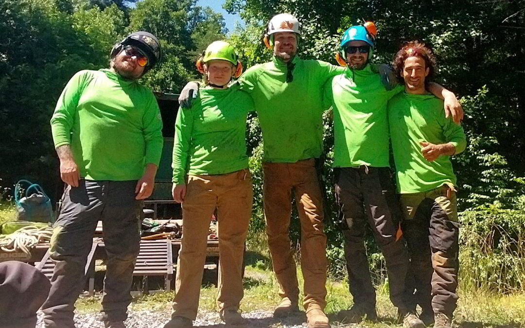 ISA certified arborists