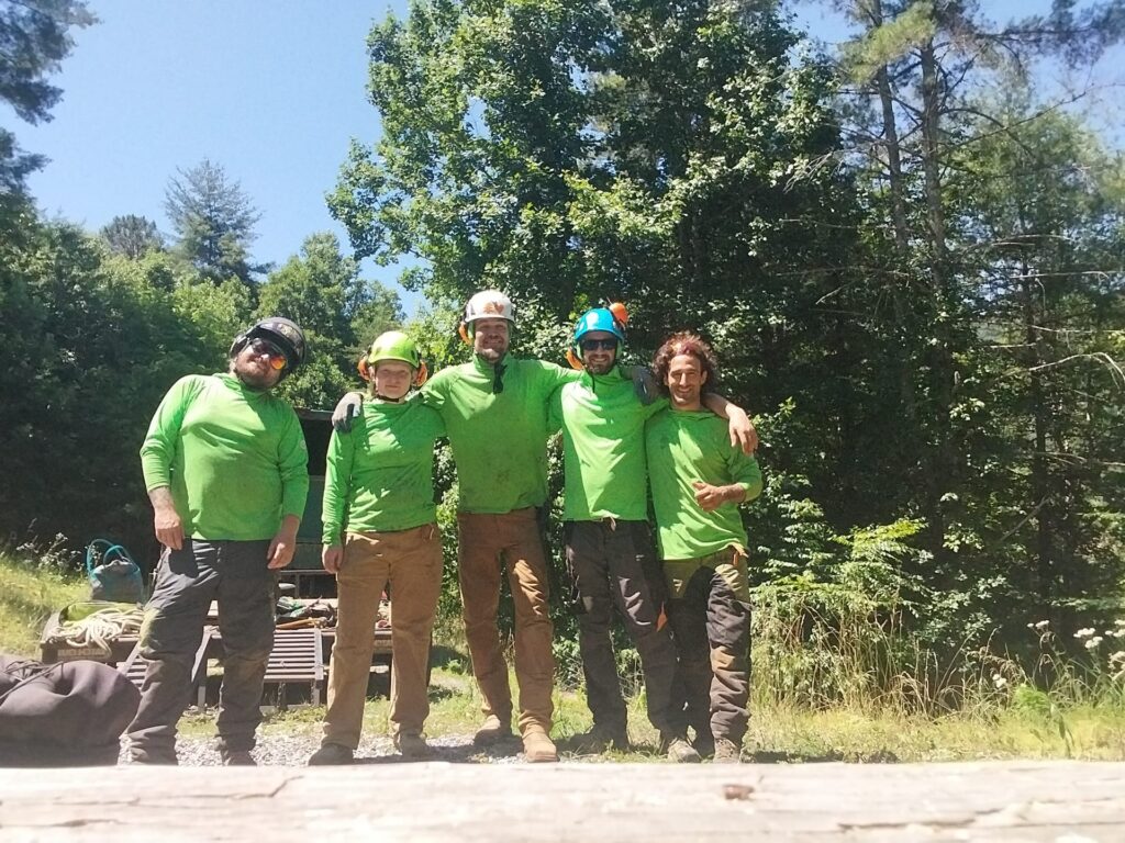 Precision Arborcare Crew