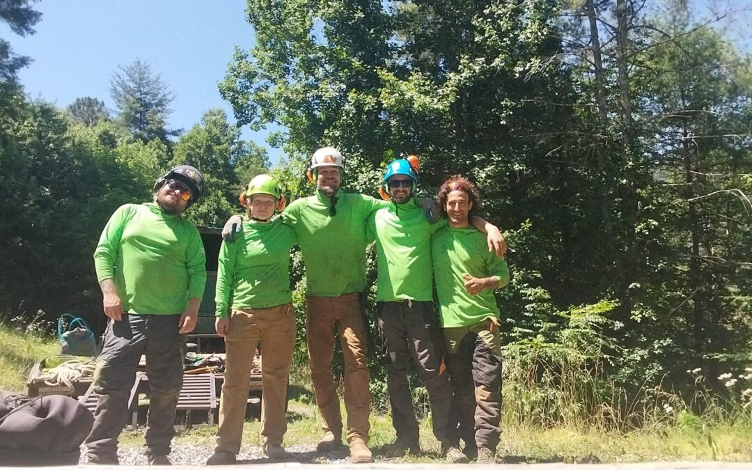 Precision Arborcare Crew