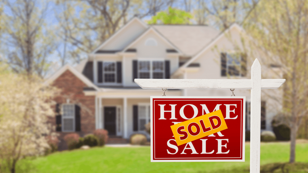 realtor and real estate agent