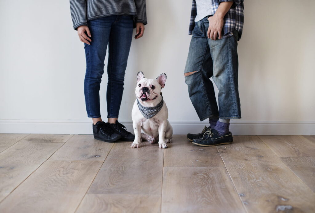 Asheville flooring service Dog and couple standing on a hardwood floor