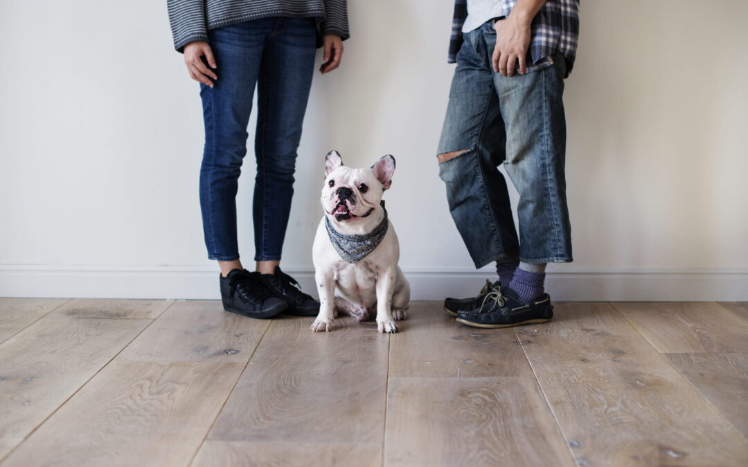 Dog and couple standing on a hardwood floor