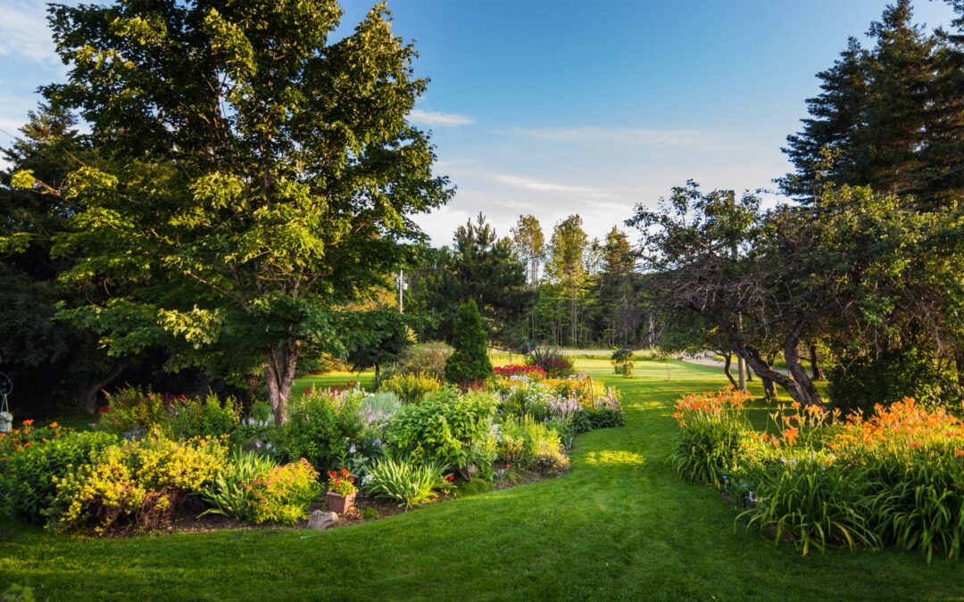 Landscaping