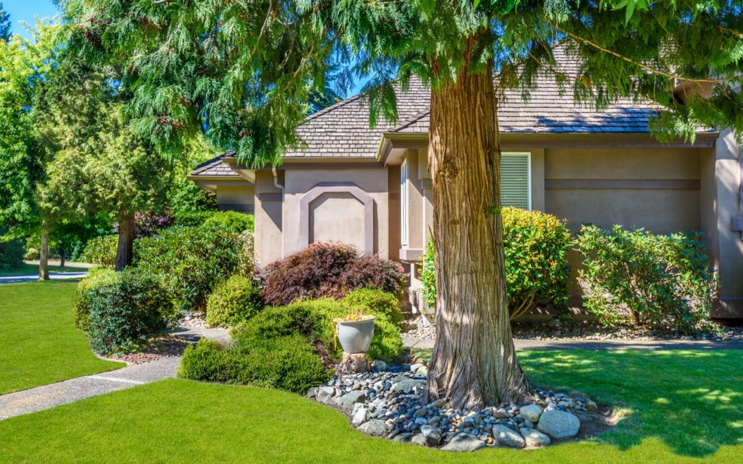 10 Ways to Prepare Trees on Your Property for Hurricane and Storm Season